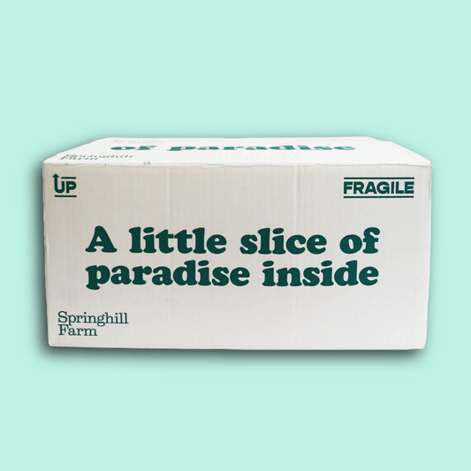 Underweight Stock (1 Carton)